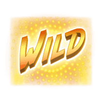 สัญลักษณ์ Wild