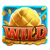 สัญลักษณ์ WILD