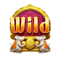 สัญลักษณ์ Wild