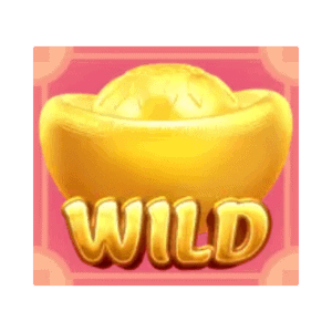 สัญลักษณ์ WILD