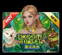 ENCHANTED FOKEST เกมสล็อต XO มาใหม่