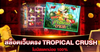 สล็อตเว็บตรง-tropical-crush