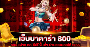 เว็บบาคาร่า 800