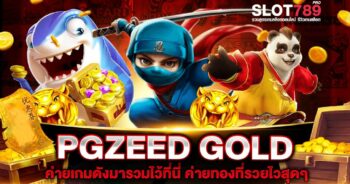 PGZEED GOLD