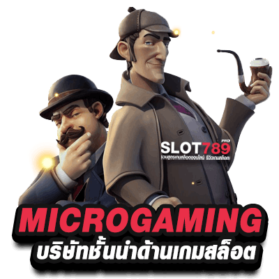 ค่าย MICRO GAMING 