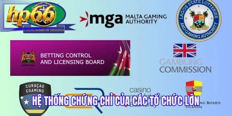 Hệ thống chứng chỉ của các tổ chức lớn