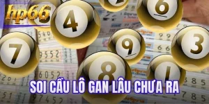 Soi Cầu Lô Gan Lâu Chưa Ra - Bí Quyết Săn Lô Đỉnh Cao