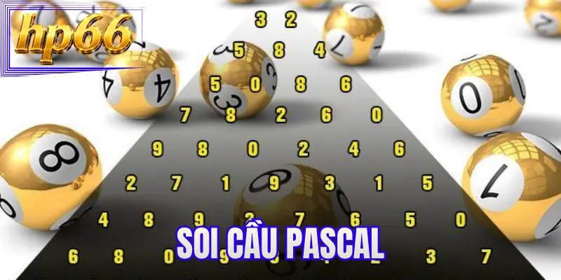 Soi Cầu Pascal - Vận Dụng Chiến Thuật Hay Để Thu Lãi Lớn