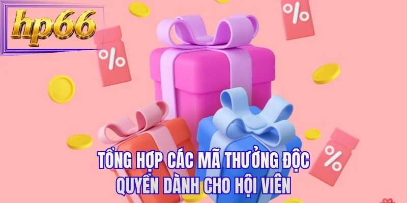 Tổng hợp các mã thưởng độc quyền dành cho hội viên